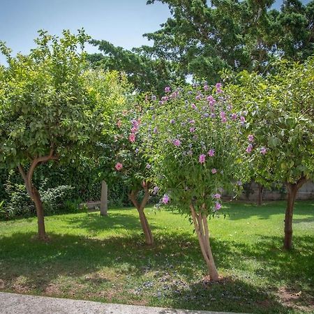 דירות מאלגה Piso Con Jardin מראה חיצוני תמונה
