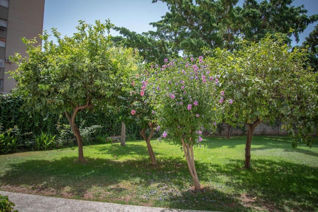דירות מאלגה Piso Con Jardin מראה חיצוני תמונה